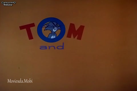 Guided Mouse Ille HD.mp4
