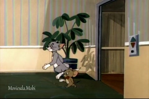 Towering Fiasco HD.mp4