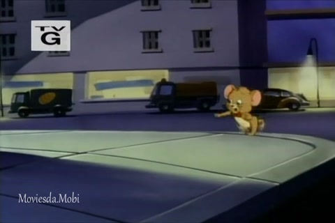 Flippin Fido HD.mp4