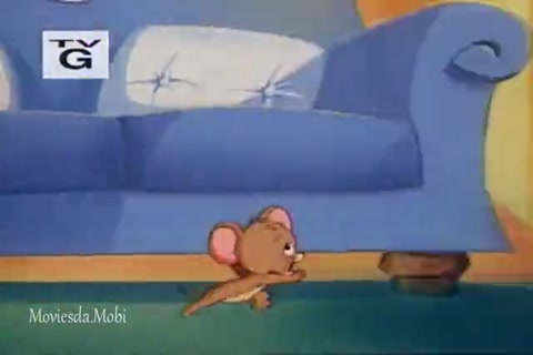 Toms Terror HD.mp4