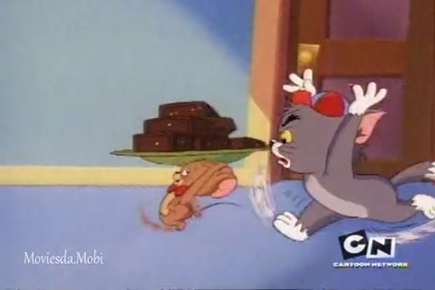 Who Are You Kitten HD.mp4