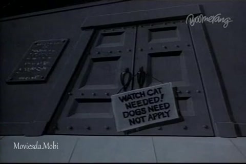 The Watchcat HD.mp4