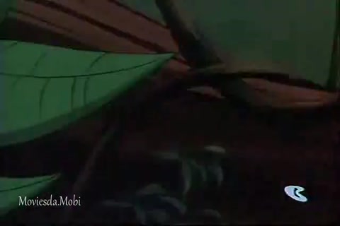 Stunt Cat HD.mp4