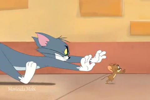 Tiger Cat HD.mp4