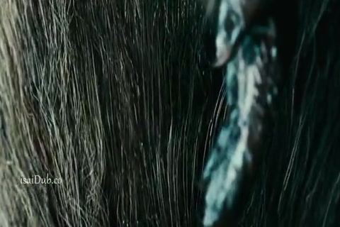The Story of a Murderer 2006 HD Sample.mp4
