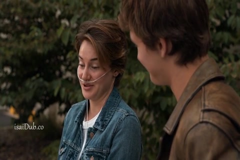 The Fault in Our Stars 2014 HD Sample.mp4