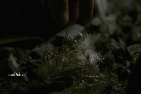The Fountian 2004 HD Sample.mp4