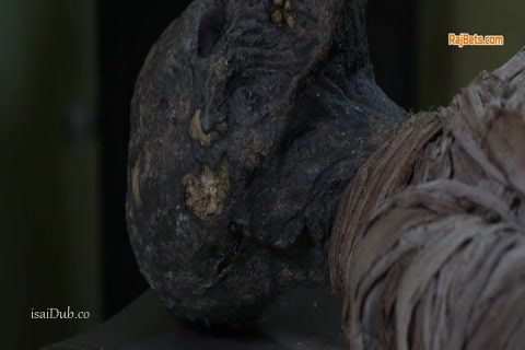 Mummy is Back 2021 Sample.mp4