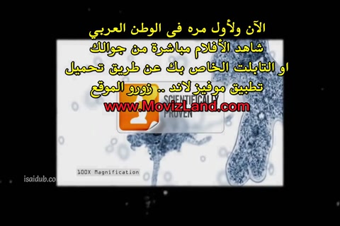 A Mosquito Man 2016 720p HD.mp4