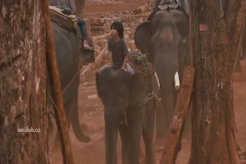 My Lucky Elephant 2013 720p HD Sample.mp4