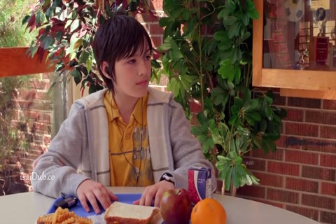 Vampire Dog 2012 HD Sample.mp4