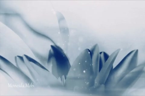 The Untamed Season 1 Episode 42 HD.mp4