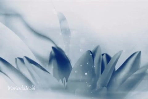 The Untamed Season 1 Episode 44 HD.mp4
