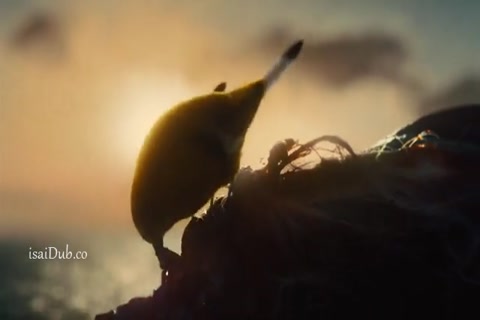 The Suicide Squad HD Sample.mp4