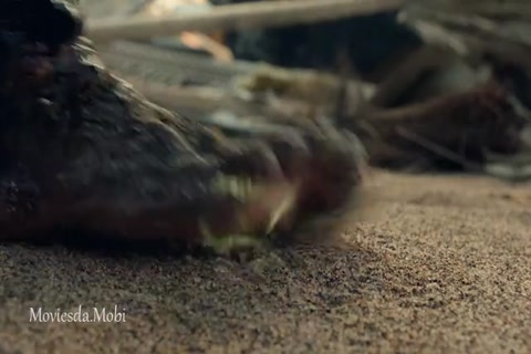 Fear The Walking Dead Season 06 (Epi 01 The End is The Beginning) HD.mp4