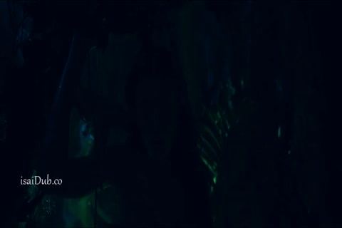 Birds of Paradise HD Sample.mp4