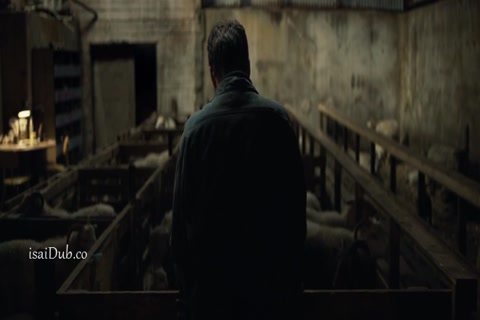 Lamb HD Sample.mp4