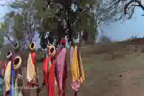 The Gods Must Be Crazy (1980) Part-4.mp4