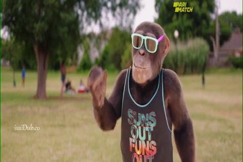 C.I.Ape 2021 HD Sample.mp4