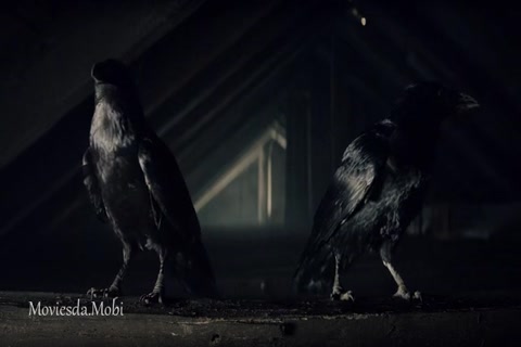 The Witcher Season 01 (Epi 05 Bottled Appetites) HD.mp4