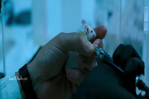 Morbius HD Sample.mp4