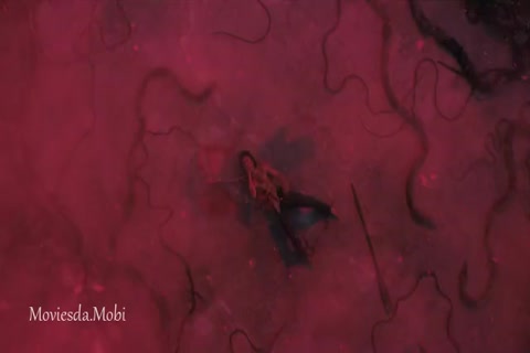 Stranger Things Season 04 (Epi 07) HD.mp4