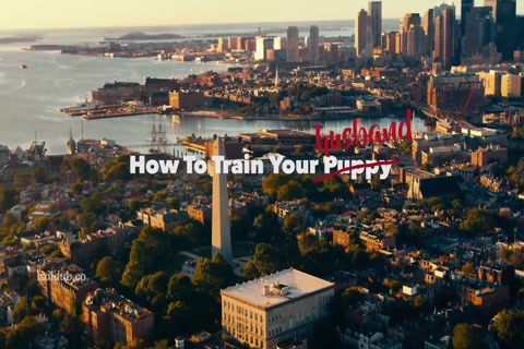 How To Train Your Husband 2017 720p HD.mp4