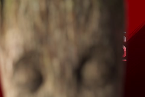 I Am Groot Season 01 (Epi 01).mp4