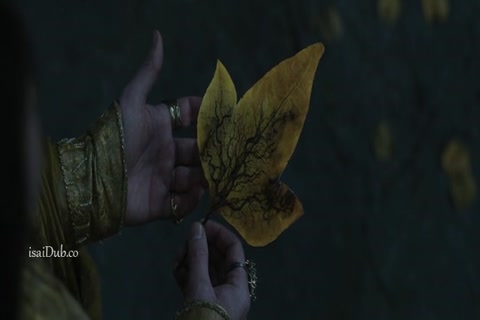 The Lord of the Rings Epi 05 HD.mp4