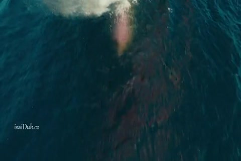 The Sunlit Night 2019 HD Sample.mp4