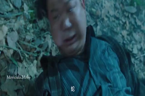 Giant Python 2021 HD Sample.mp4