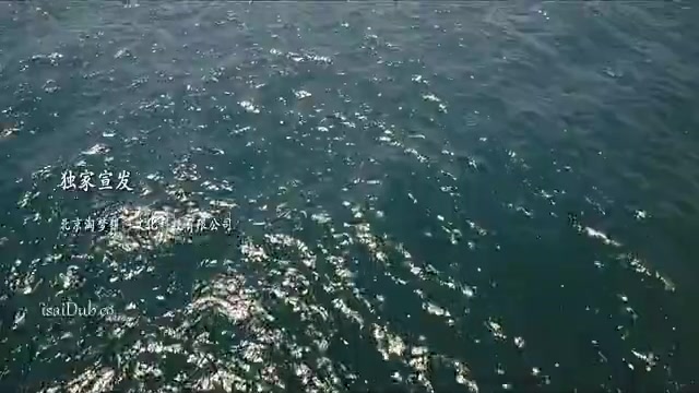 Escape of Shark 2021 HD.mp4