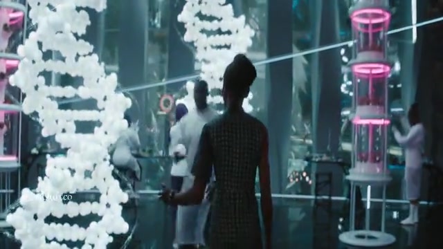 Black Panther 2 HD.mp4