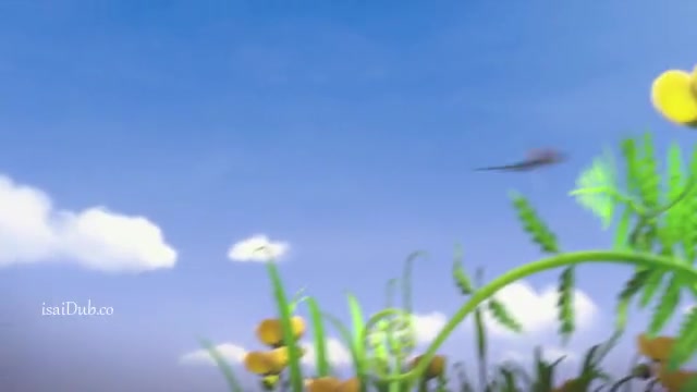 Maya the Bee 2 The Honey Games 2018 360p Sample.mp4