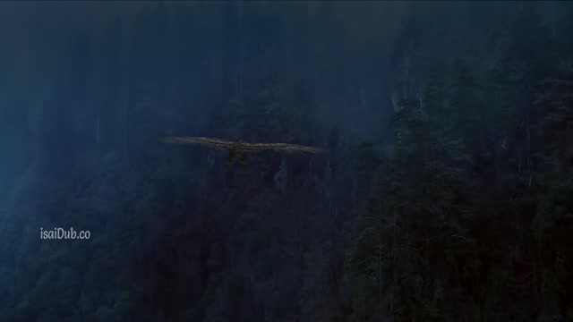 Savage Man 2020 720p HD.mp4