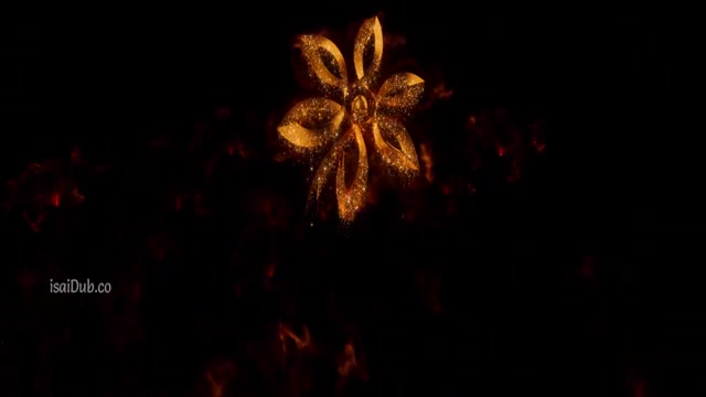 The Curse of Turandot 2021 720p HD.mp4