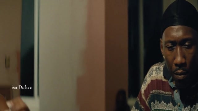 Moonlight 2016 Sample.mp4