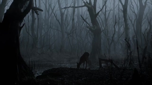 The Witcher (2019) Season 01 (Epi 01).mp4