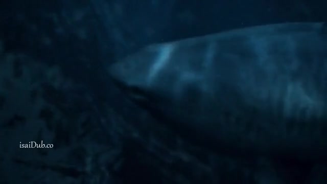 The Little Mermaid 2023 Sample.mp4