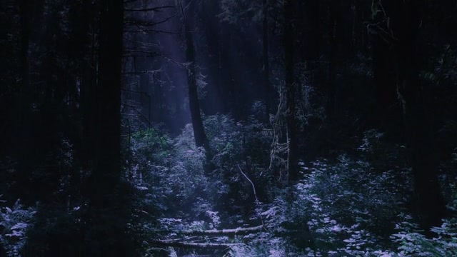 isaiDub.com - Alpha Wolf 2018 360p HD.mp4