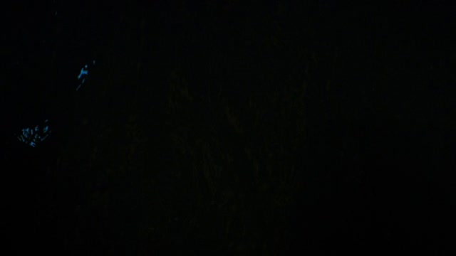 isaiDub.com - The Piper 2023 720p HD.mp4