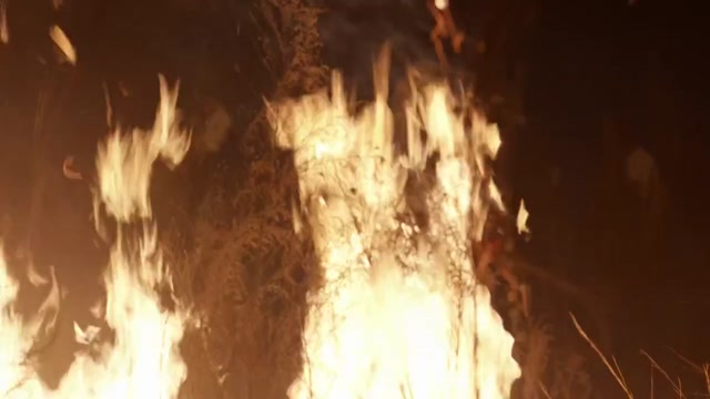 isaiDub.com - Fear The Walking DeadÂ  Season 08 (Epi 11).mp4