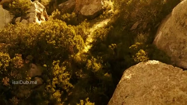 Shadow Wolves 2019 360p HD.mp4