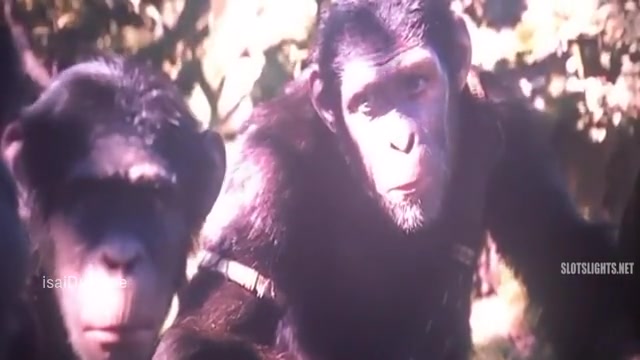 Kingdom Of The Planet Of The Apes 2024 English Sample.mp4