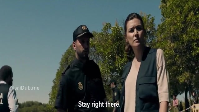 Summer in Red 2023 Sample.mp4