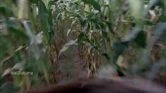 Scarecrow 2013 360p HD.mp4