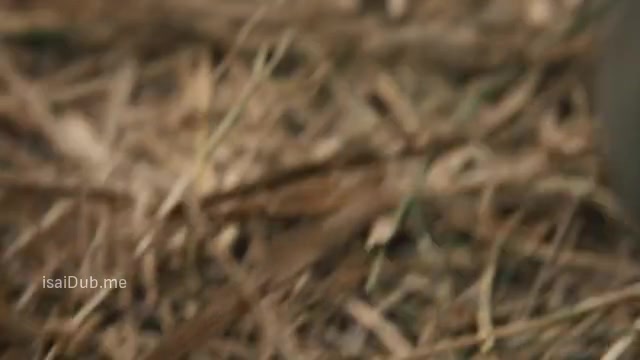 The X-Treme Riders 2023 Sample.mp4