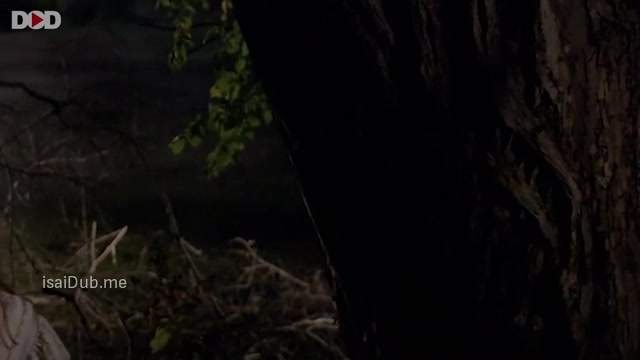 Swamp Devil 2008 360p HD.mp4