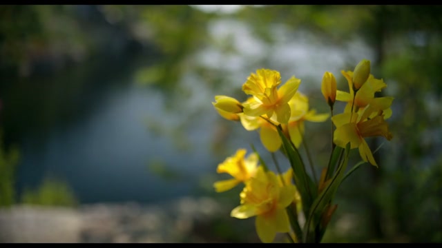 isaiDub.me - The Four Seasons 2025 Season 01 (Epi 01).mp4