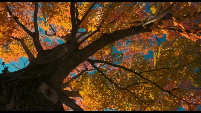 isaiDub.me - The Four Seasons 2025 Season 01 (Epi 05).mp4